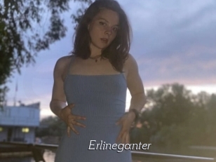Erlineganter