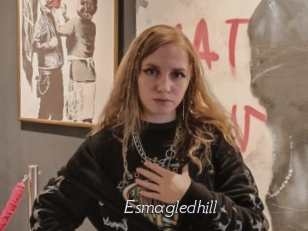 Esmagledhill