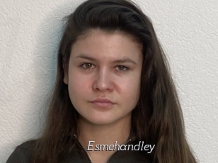 Esmehandley