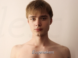 Eugenekern