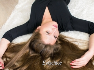 Evachice