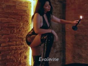 Evalevine