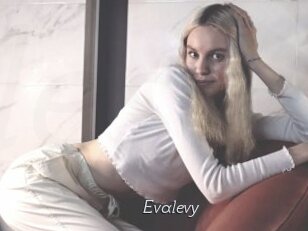 Evalevy