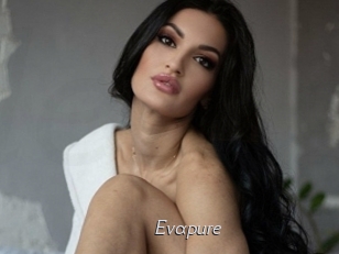 Evapure