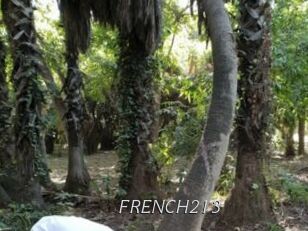 FRENCH213
