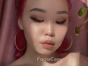 FactorCam