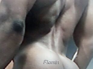 Flamin