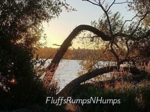 FluffsRumpsNHumps
