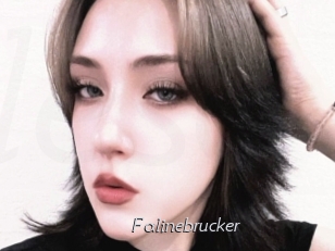 Falinebrucker