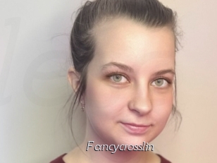 Fancycrosslin