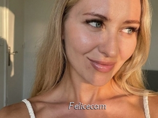Felicecam