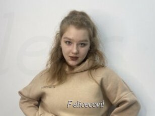 Felicecovil