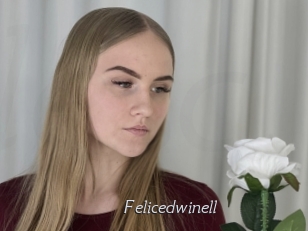 Felicedwinell