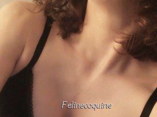 Felinecoquine