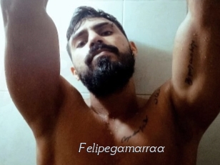 Felipegamarraa