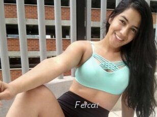Fercat