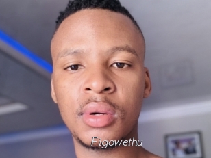 Figowethu
