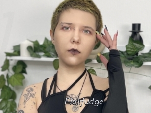 Flairfudge