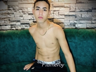 Flamevoy