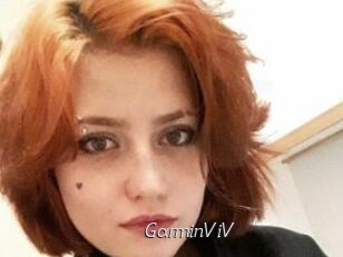 GarminViV