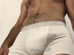Gizmo2000