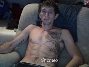 Gnomeo