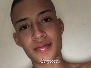 Garfiosex