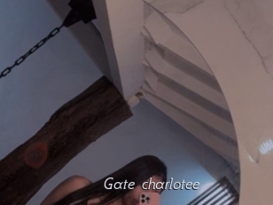 Gate_charlotee