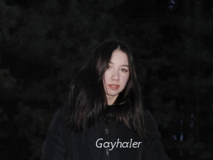 Gayhaler
