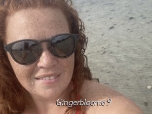 Gingerbloom69