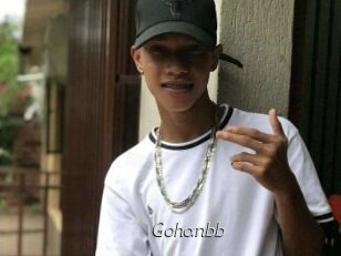 Gohanbb