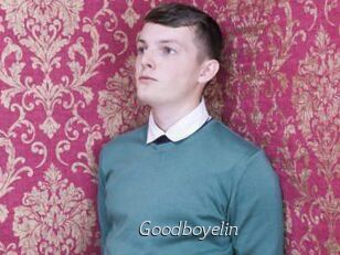 Goodboyelin