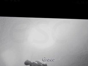 graco Le Scandale
