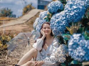 HaKimNguyen