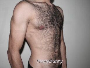 HairyBunny