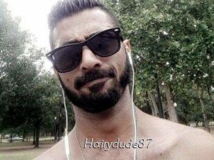 Hairydude87