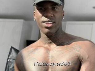 Hanswayne888