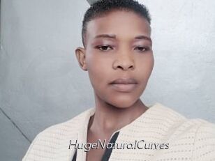 HugeNaturalCurves