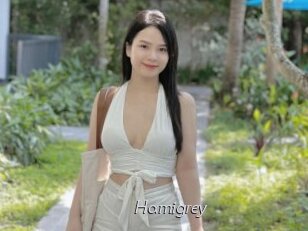 Hamigrey