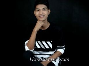 Handsomesolocum