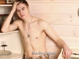 Harbydream