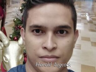 Harold_bigcock
