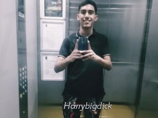 Harrybigdick