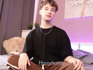 Harrybunny
