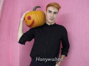 Harrywalters