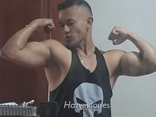 Harveytorres