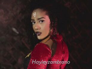 Hayleyzambrano