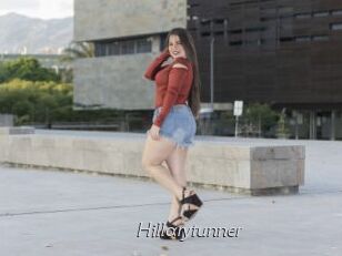 Hillarytunner