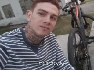 Homerocock
