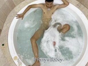 Hornywildboy